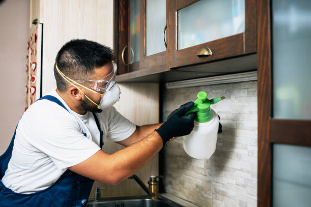 Best Flea Control Services  in Elkhorn, CA