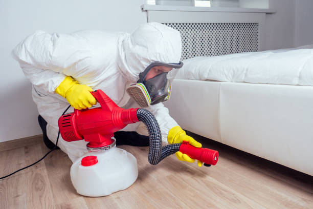 Best Affordable Pest Control Services  in Elkhorn, CA