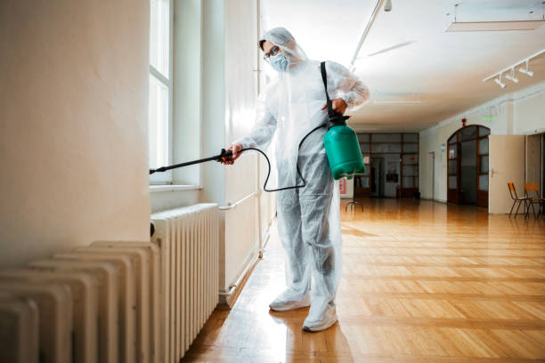 Flea Control Services in Elkhorn, CA