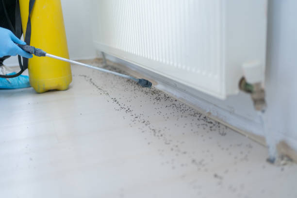 Best Commercial Pest Control Services  in Elkhorn, CA